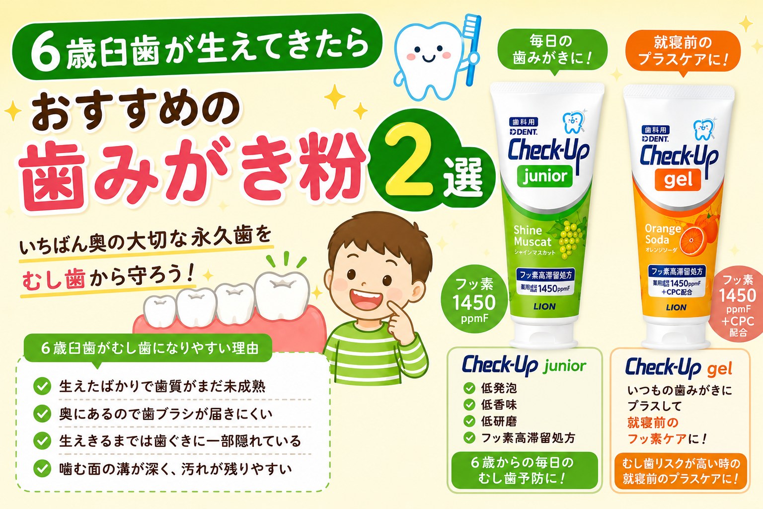 6歳臼歯が生えてきたら歯みがき粉を見直そう｜おすすめの歯みがき粉2選