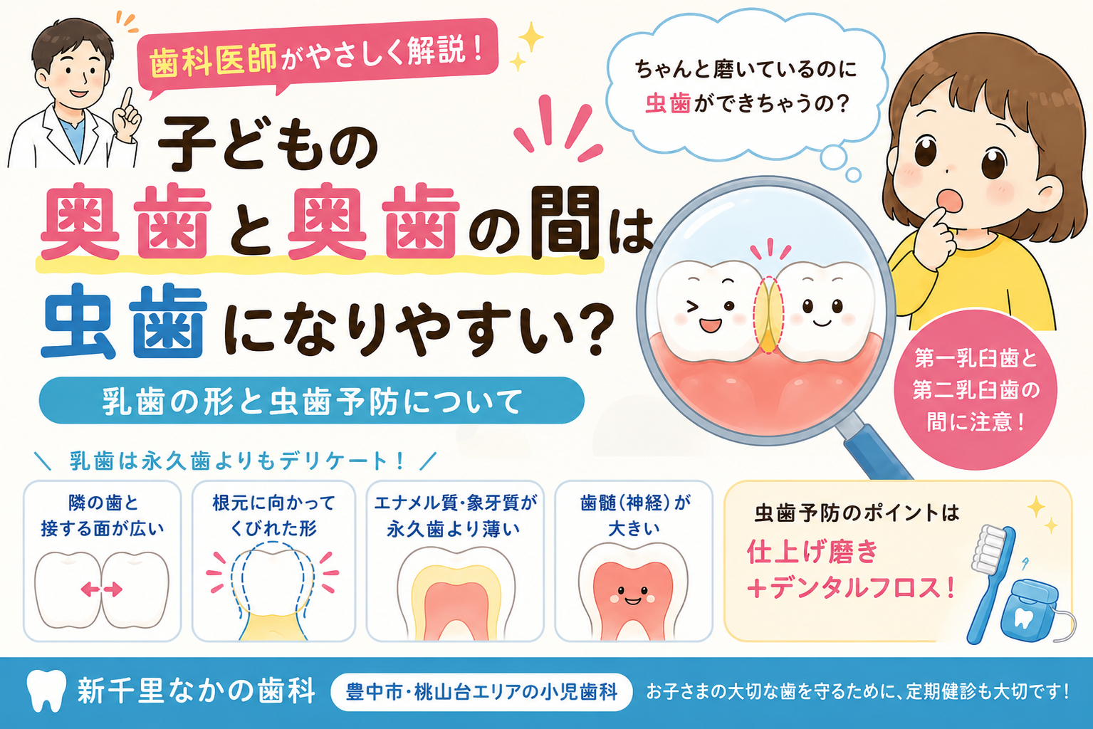 子どもの奥歯と奥歯の間は虫歯になりやすい？乳歯の形と虫歯予防【小児歯科】